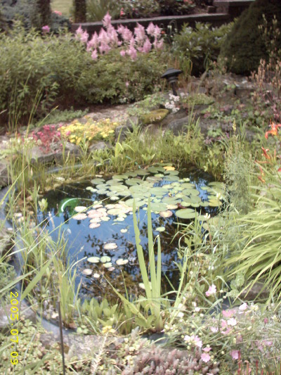 Großer Gartenteich